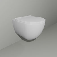 Compact rimless toilet pack