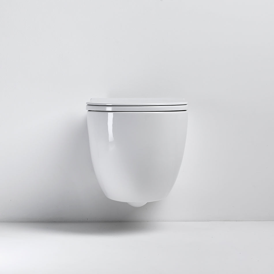 Compact rimless toilet pack
