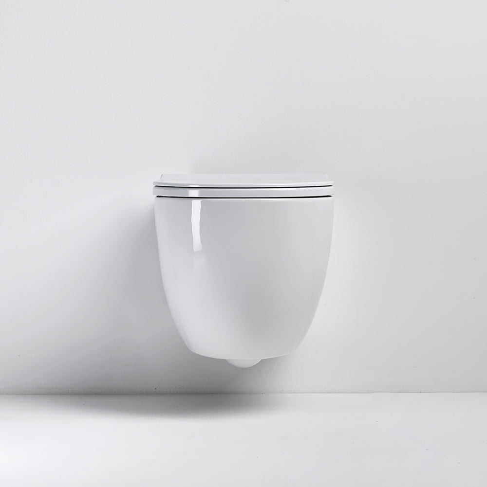 Compact rimless toilet pack